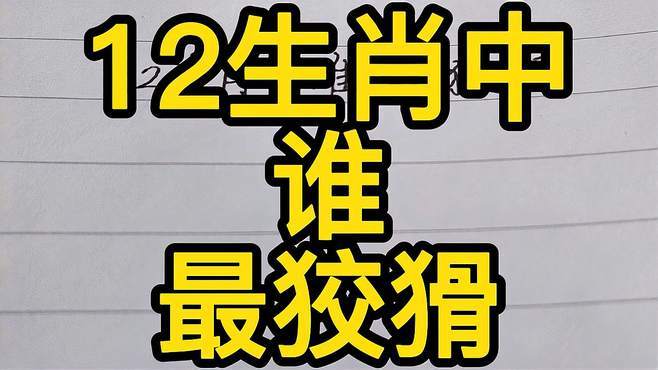 12生肖哪个最狡猾