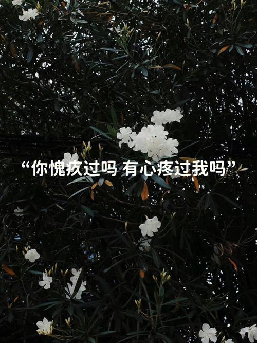 天蝎座男放不下你的表现