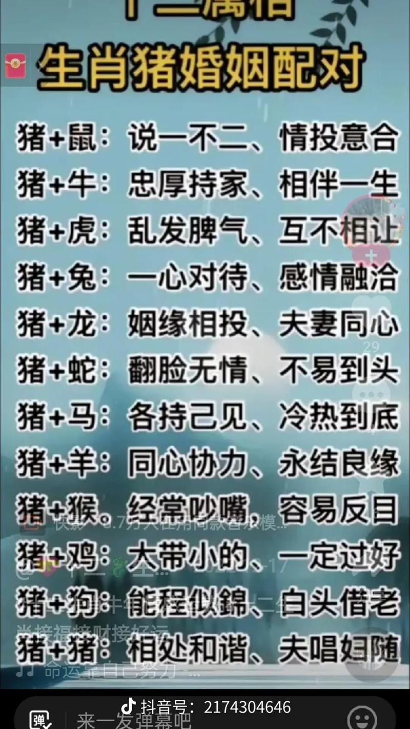 属相虎与什么属相相冲