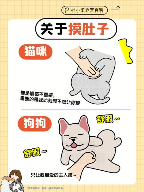 十二星座养狗和养猫的区别