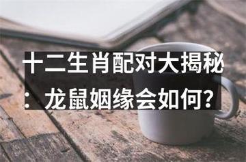 生肖鼠和生肖龙姻缘如何