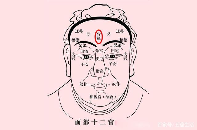 额头富贵坑在什么位置