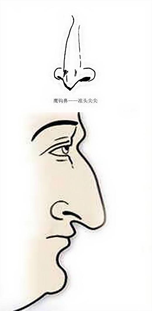 分析鹰钩鼻的人人品怎么样