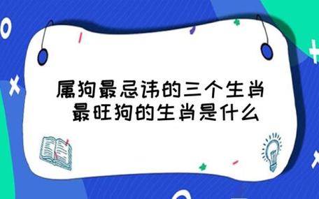 属狗交运忌什么属相