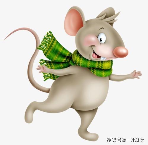 属鼠的人喜欢什么歌曲