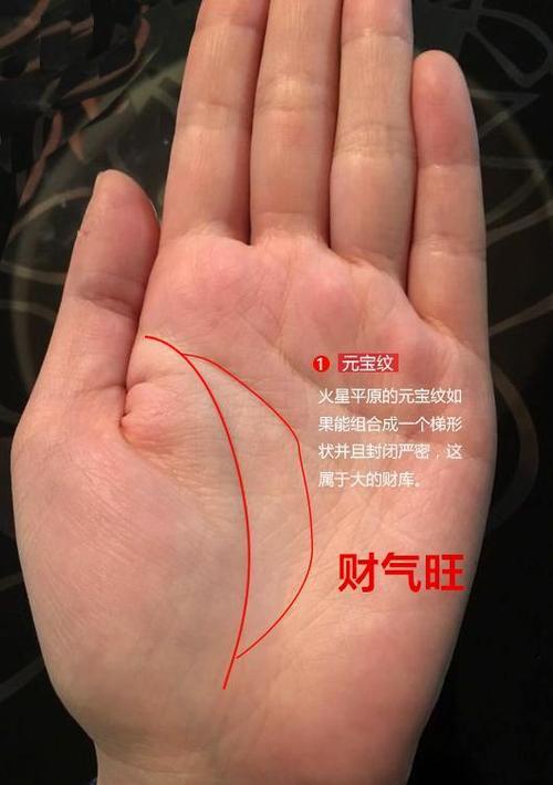 大富大贵的婴儿手相