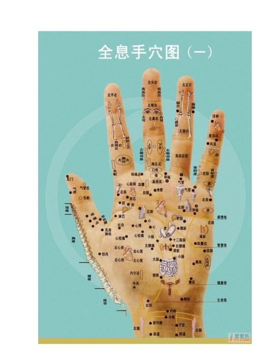 如何观手知健康