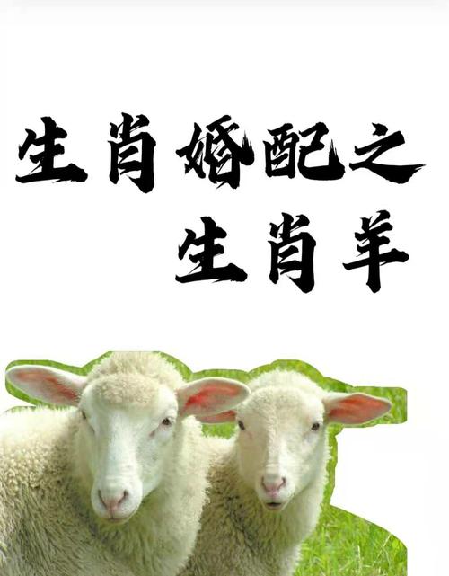 属羊人不管男女好好看看,关乎自己一辈子的姻缘,大师算的准的很