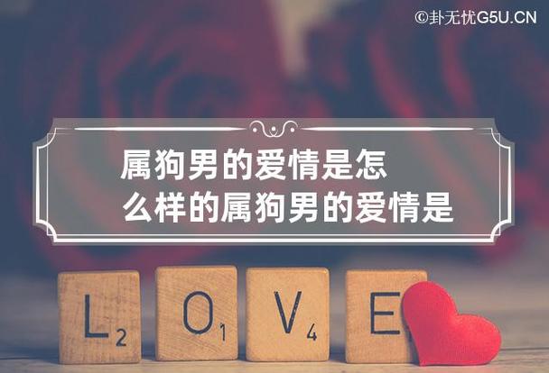 如何才能管好属狗男朋友