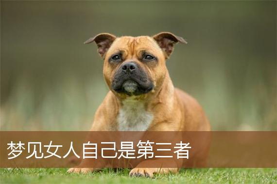 女人梦见自己是第三者