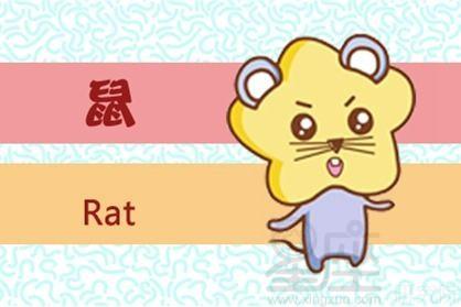 二十三岁属什么生肖