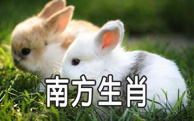 南方的生肖是什么,南方生肖有哪些