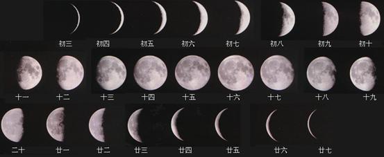 公历是农历还是阳历
