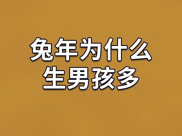 2023年属兔男孩多还是女孩多