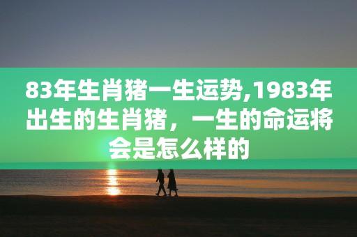属猪人一生的命运稳定