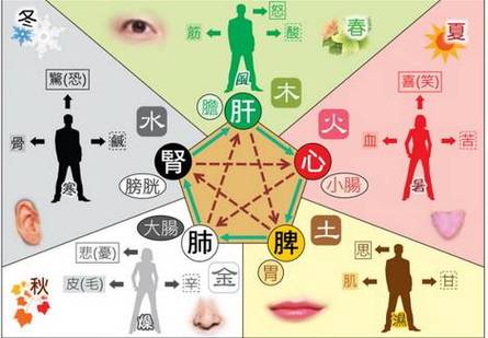 八字五行,告诉你如何吃出健康
