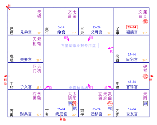 紫微斗数诸星落诸宫之,天梁星:阳土疾厄宫详解