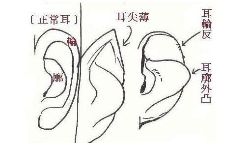 事业多败少成的耳相特征