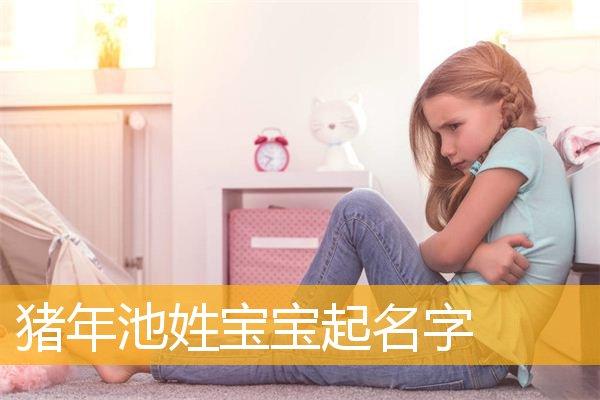 池姓猪年男宝宝名字