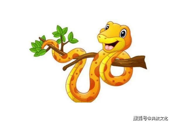属蛇的买楼房几层最好