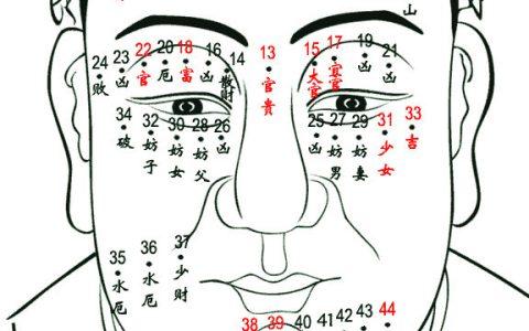 顾家男的面相(讲解)