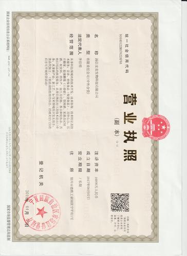 中外合资公司如何起名
