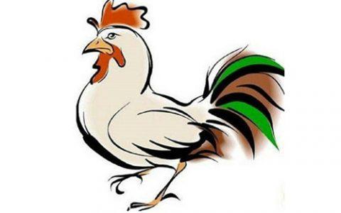 属鸡女最在意男朋友的哪个部位
