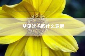 梦见吃汤圆是什么意思
