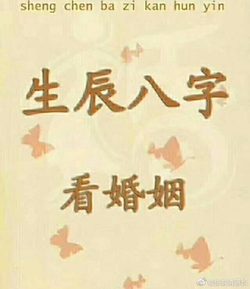 八字喜水是什么意思