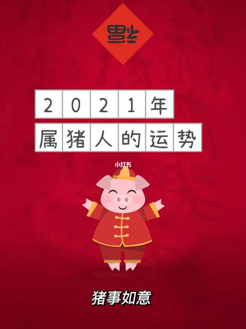 属猪人2021年5月运势