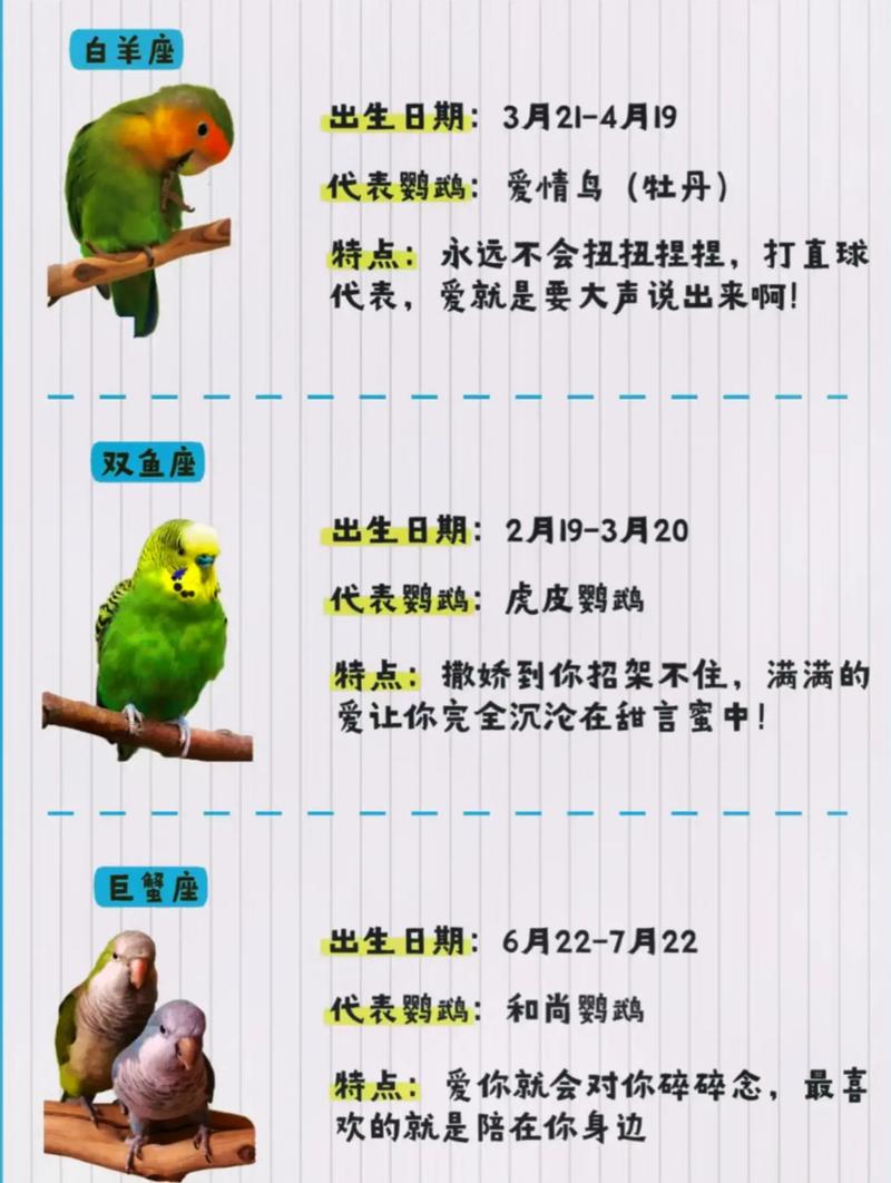 十二星座最适合养什么小动物