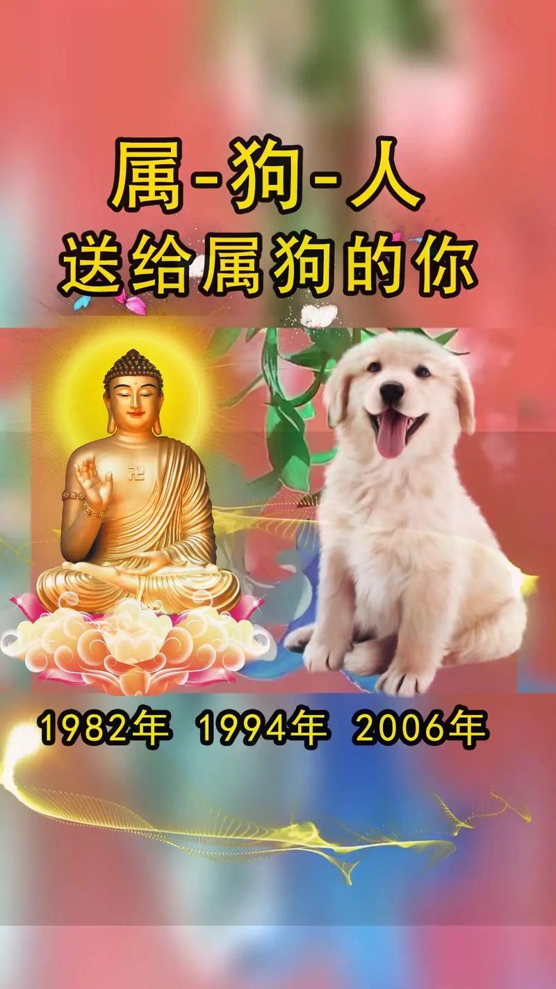 属狗女生的爱情弱点