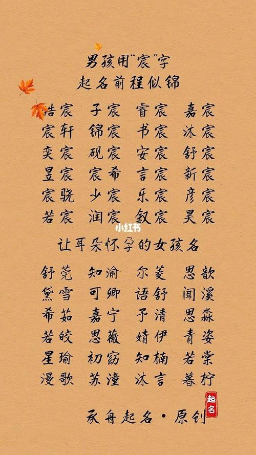 八字喜火最豪放的男孩名字