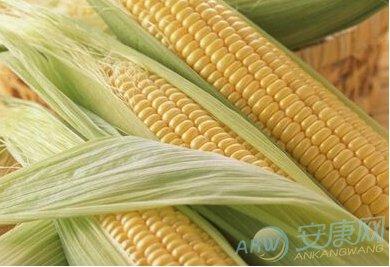 梦见收玉米是什么意思