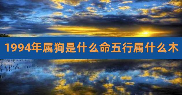 1994年出生是什么命?(木狗之命)