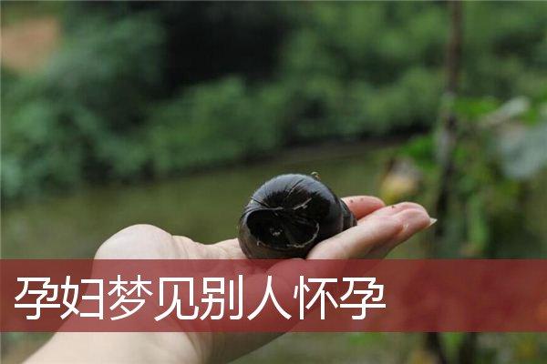 孕妇梦见别人怀孕是什么意思梦见别人怀孕是什么意思周公解梦