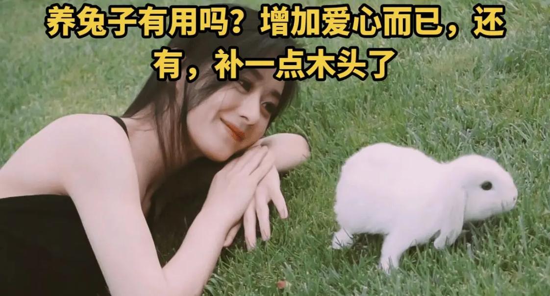 兔爸爸和羊妈妈生牛宝宝好吗