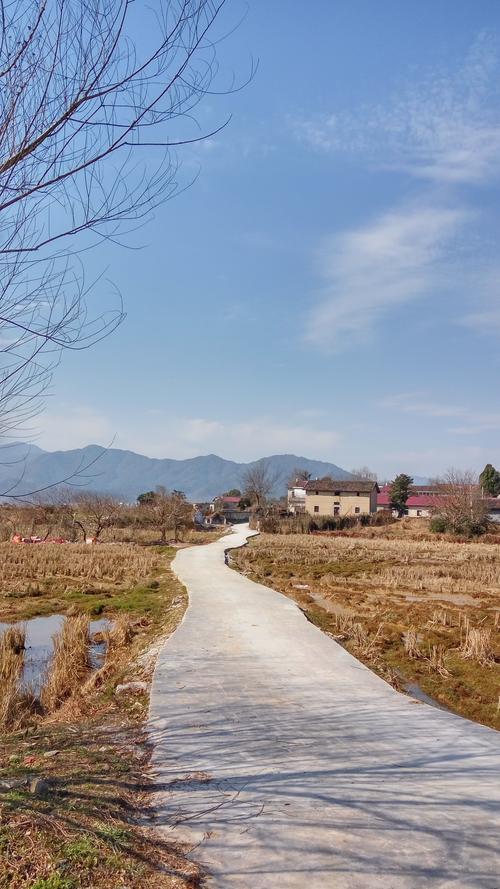 梦见烂泥路