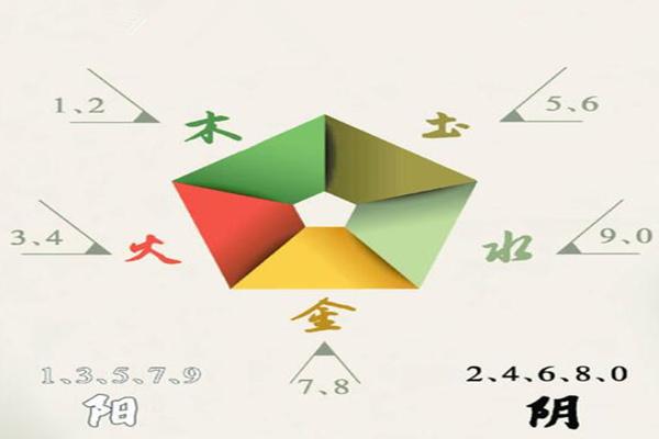 戊土与甲木的爱情