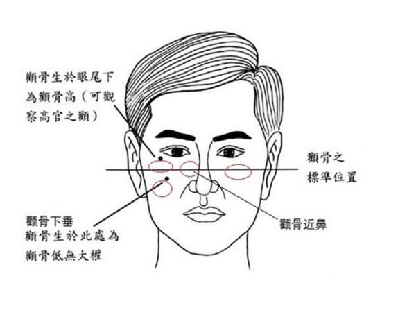 颧骨在面相当中的地位和影响