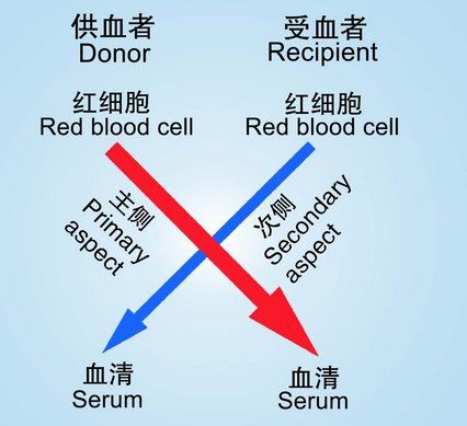 B型血的社交弱势在哪?他们会败在这四点上