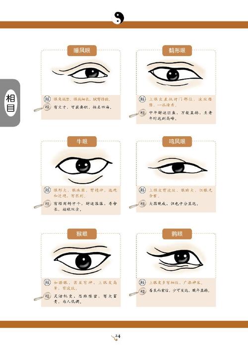 女人眼睛的面相分析图解