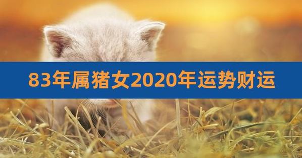 83猪未来十年运势