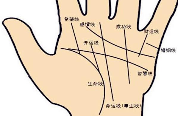 手相中命运线断开有什么解释吗