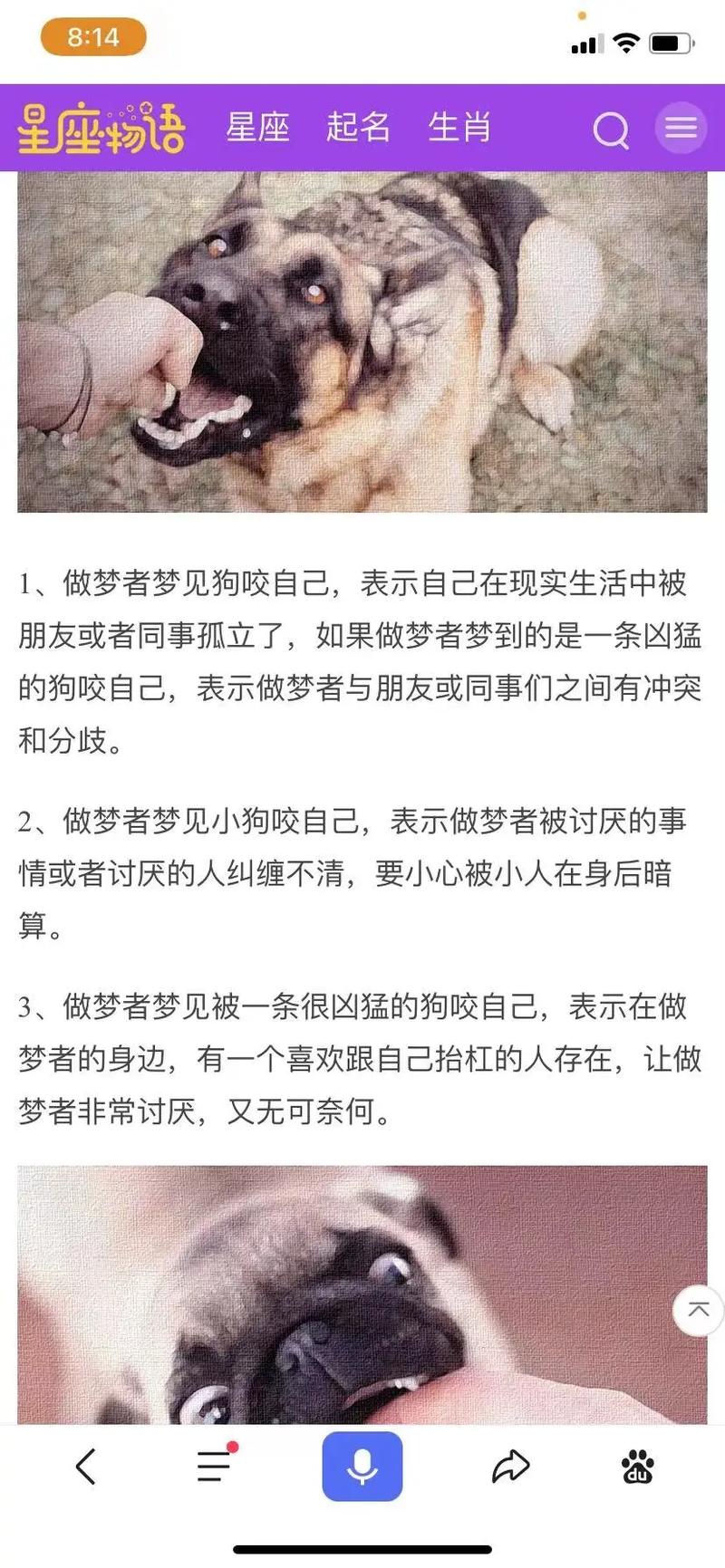 梦见被狗扑是什么意思