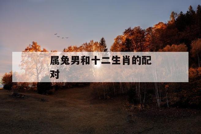 男生属兔和什么属相最配对?