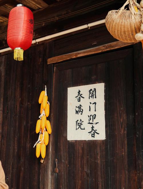 柿子树种到院子里禁忌有哪些