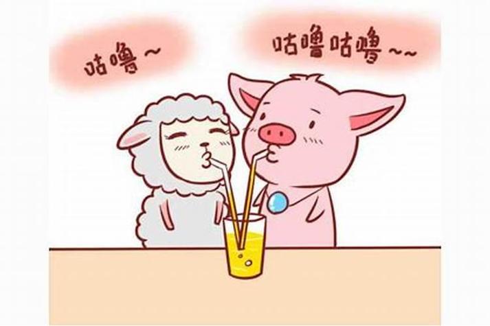 生肖配对:属猪男生和属羊女生
