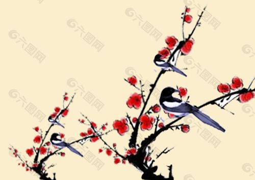喜鹊名叫!这3大生肖财多运广,吉星双至,来喜又来财