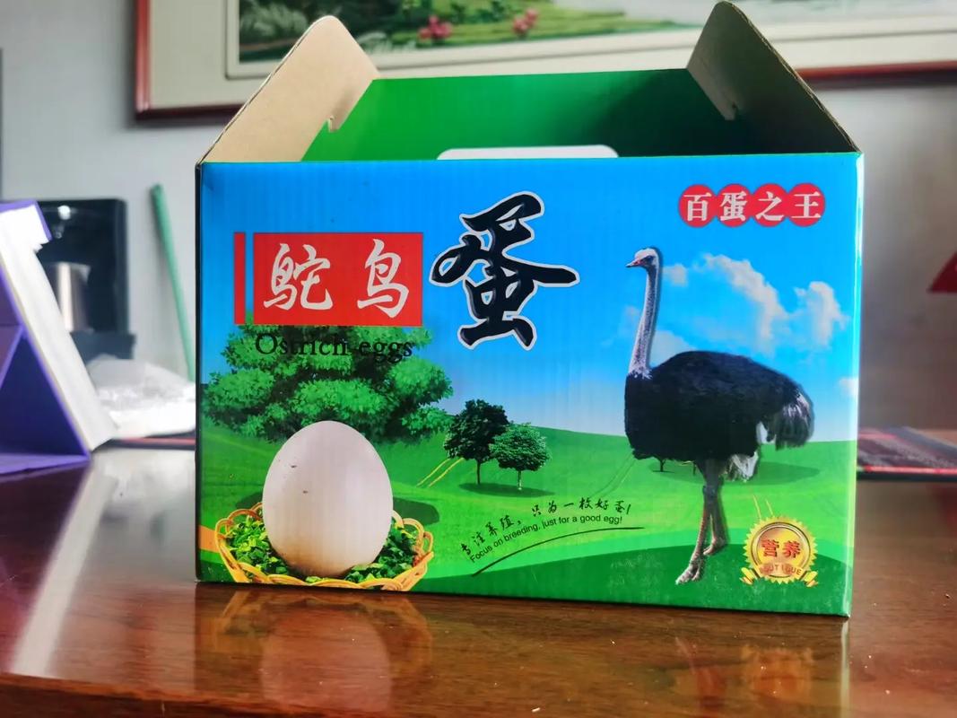 梦见鸵鸟 梦见鸵鸟蛋是什么意思